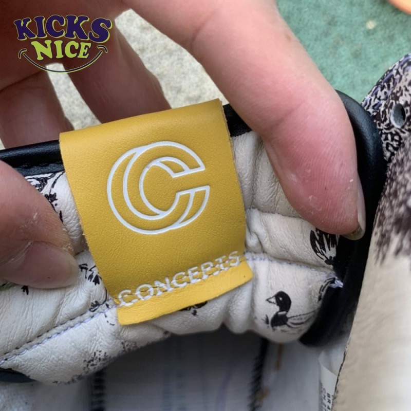 Concepts x Dunk High Pro SB 'TurDUNKen Size 36-47.5 Concepts x Dunk High Pro SB 'TurDUNKen Size 36-47.5