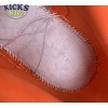 Dunk Low SP 'Champ Colors' Size 36-46 Dunk Low SP 'Champ Colors' Size 36-46