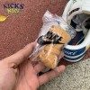Kasina x Dunk Low '80s Bus' Size 36-46 Kasina x Dunk Low '80s Bus' Size 36-46